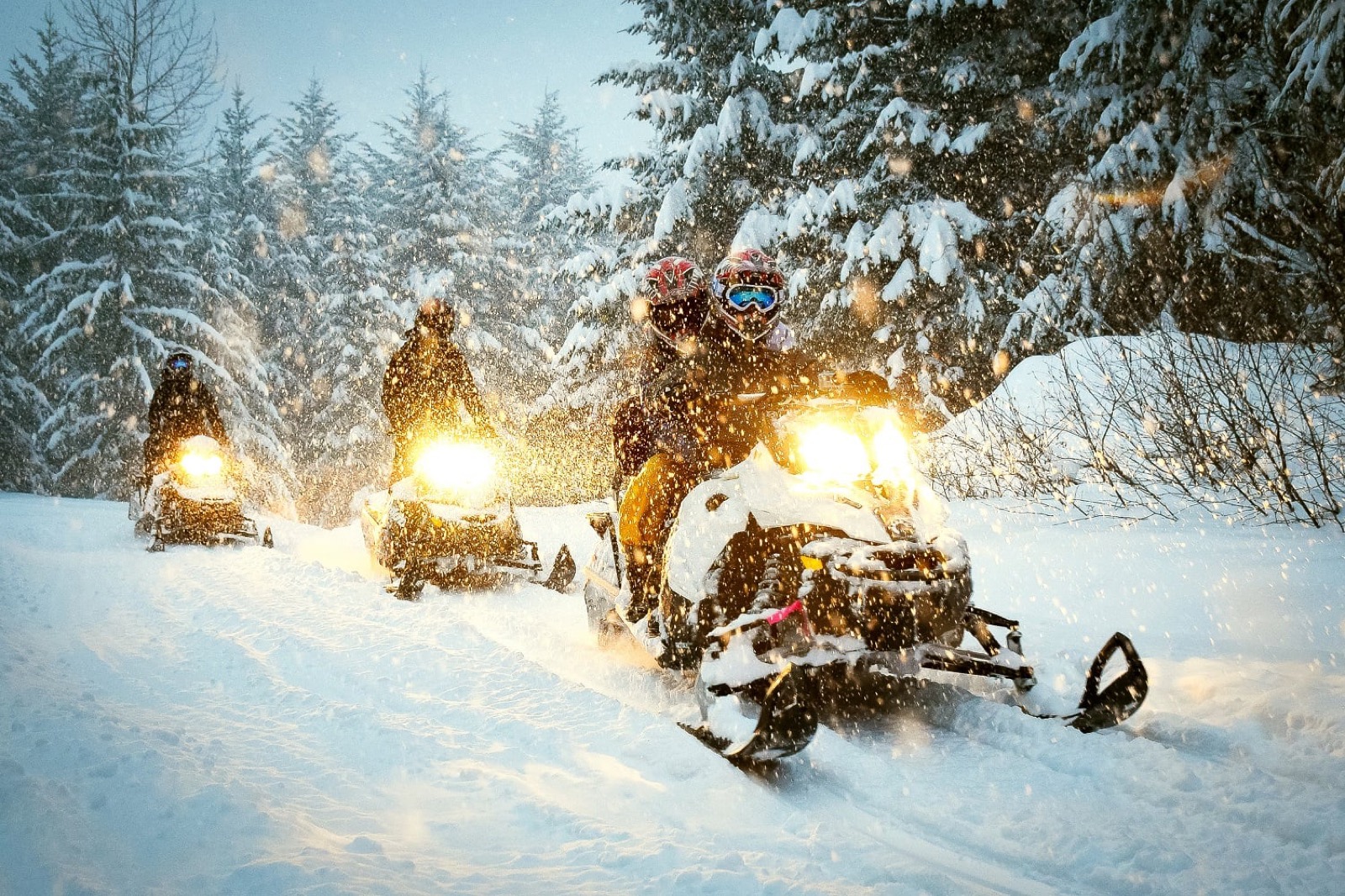 Three snowmobiles riding through snowy woods